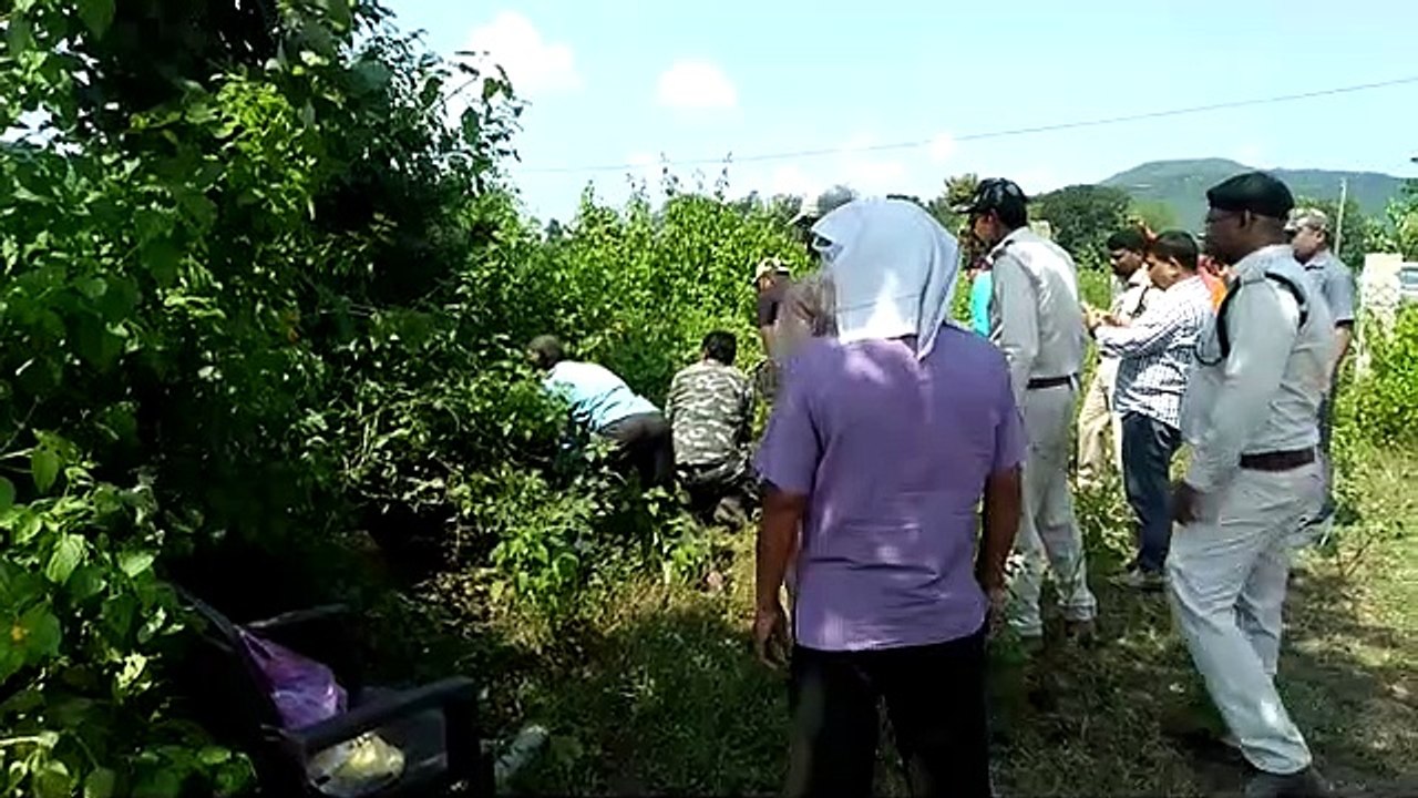 Crocodile entered village, forest department team caught rescue