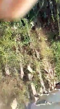 MP shekhawat in jodhpur