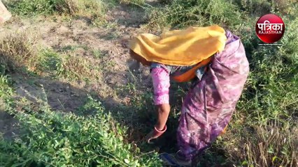 VIDEO : अब ओर अधिक गहरा होगा ‘सोजत की मेहंदी’ का रंग