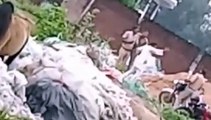 यूपी पुलिस की जमीनी हकीकत, अपराधी ने गंदी गाली के साथ दरोगा की पिटाई, वीडियो बनाते रहे सिपाही
