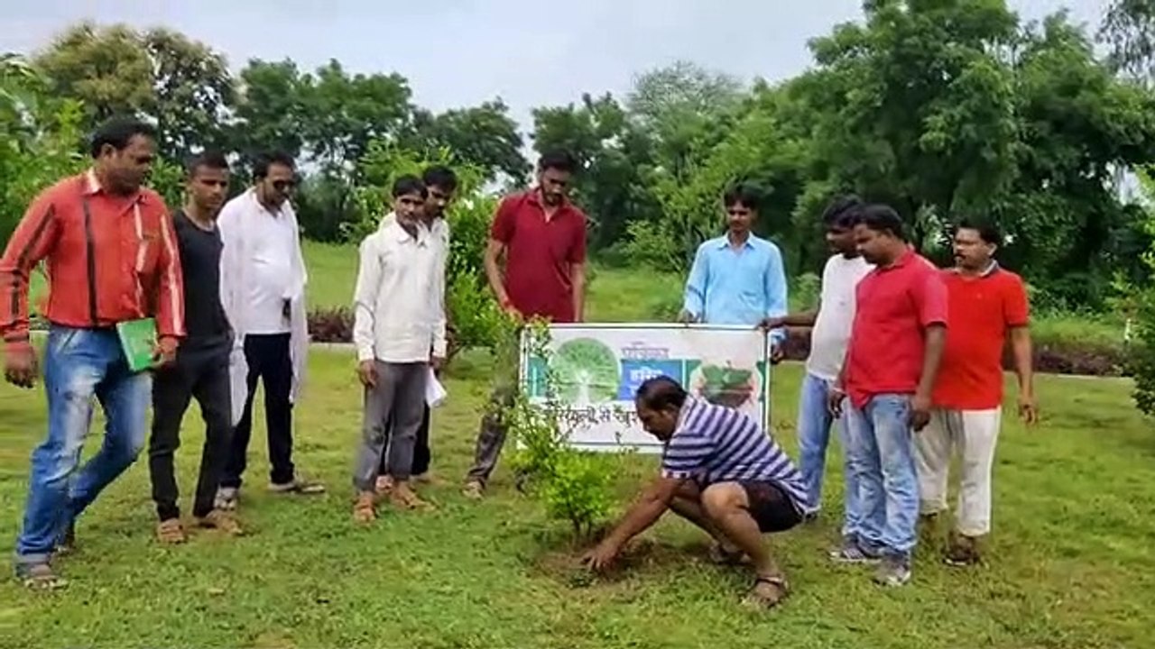 plantation