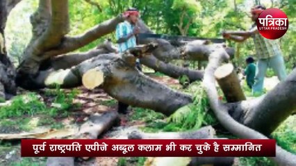 बचपन में दादा की सीख से प्रेरणा लेकर पेड़ों को बचाने का शुरू किया अभियान, अब अमेरिका ने दी ग्रीन