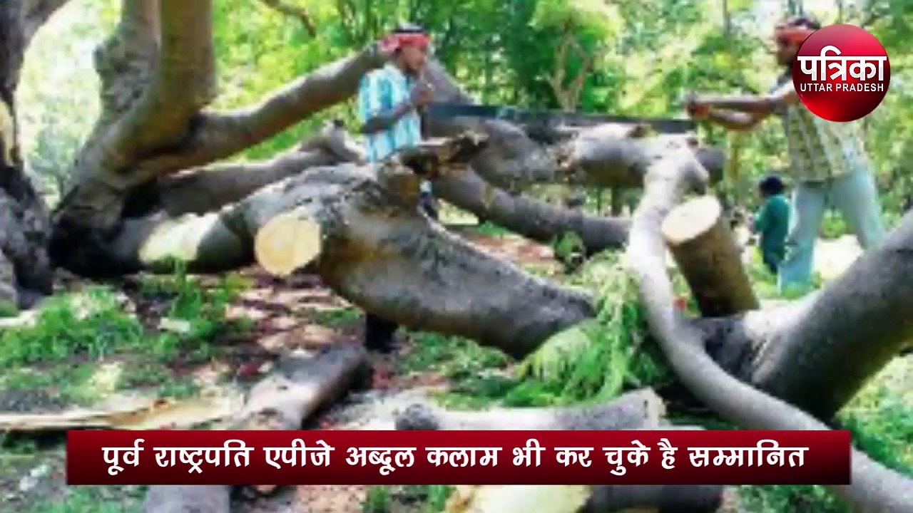 बचपन में दादा की सीख से प्रेरणा लेकर पेड़ों को बचाने का शुरू किया अभियान, अब अमेरिका ने दी ग्रीन