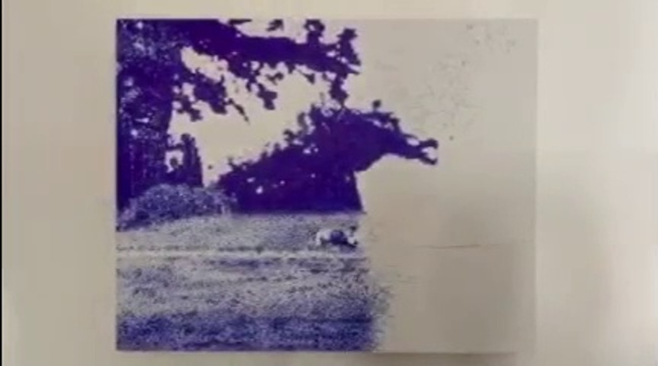 12 Tage mit Jub Mönster