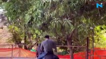 Salman Khan goes horse riding in his Panvel farm house, watch