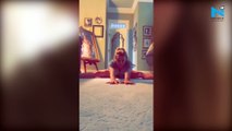 Britney Spears stuns her fans with insane yoga poses, watch
