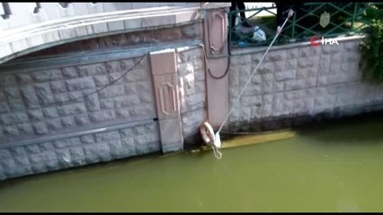 Suya düşen kediyi can simidi ve ağ ile kurtardı