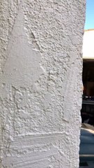 Trying to Have Fun During Quarantine