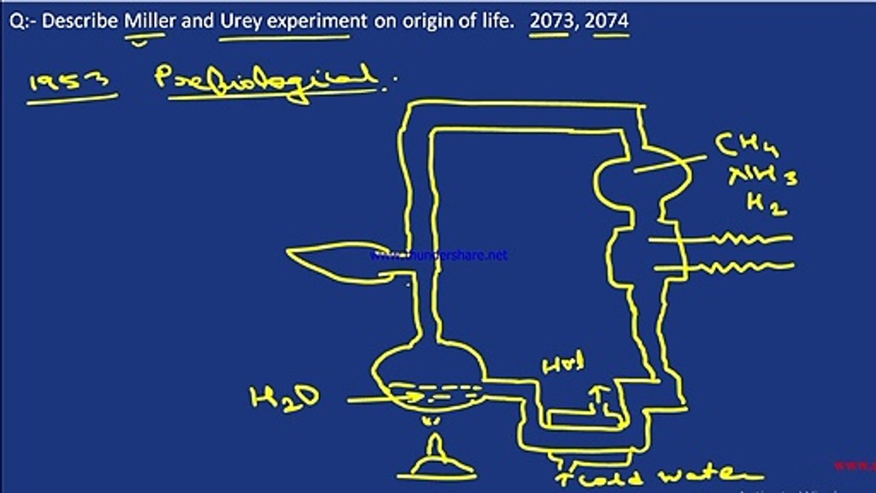 Miller and Urey Experiment