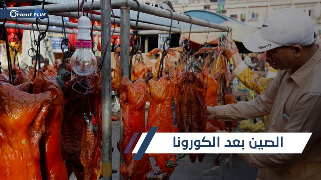 الصين تدرس حظر بيع وأكل لحوم الكلاب والقطط بعد تفشي جائحة كورونا حول العالم