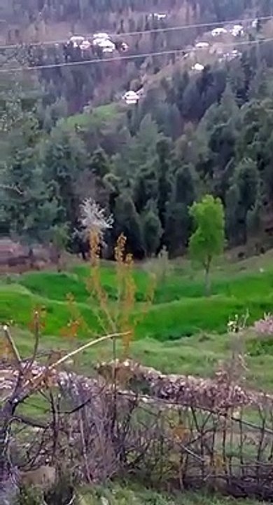 View of Jalum valley chakar