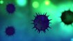Corona virus ,informative video