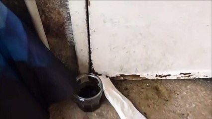 Besançon : des cafards envahissent une résidence