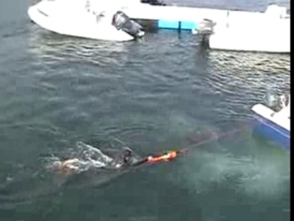 Démonstration de la Silzig par OceanPlus