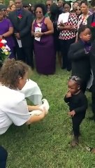 Cette colombe est frappée en vol par un camion !