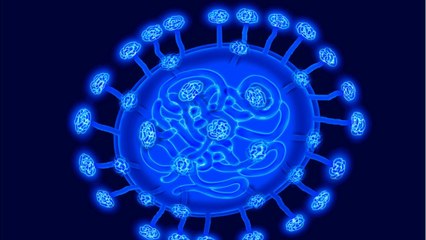 Coronavirus Death Toll Climbs Past 19,500