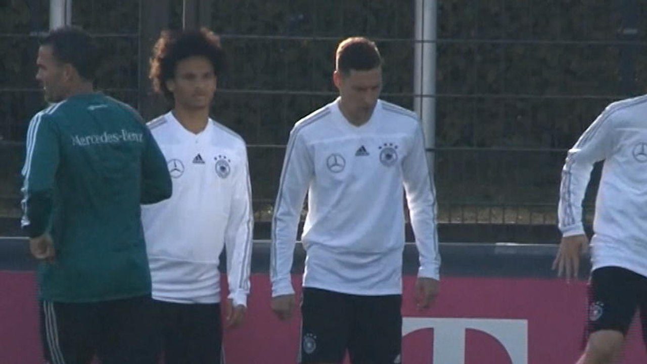 Player Profile - Leroy Sane