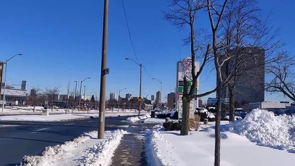 A walk after snow storm in Toronto