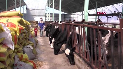 Türkiye'nin sebze ve meyve üssü Antalya'da üretim aralıksız sürdü