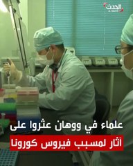علماء في #ووهان يعثرون علي أثر انتشار فيروس كورولا داخل كهف