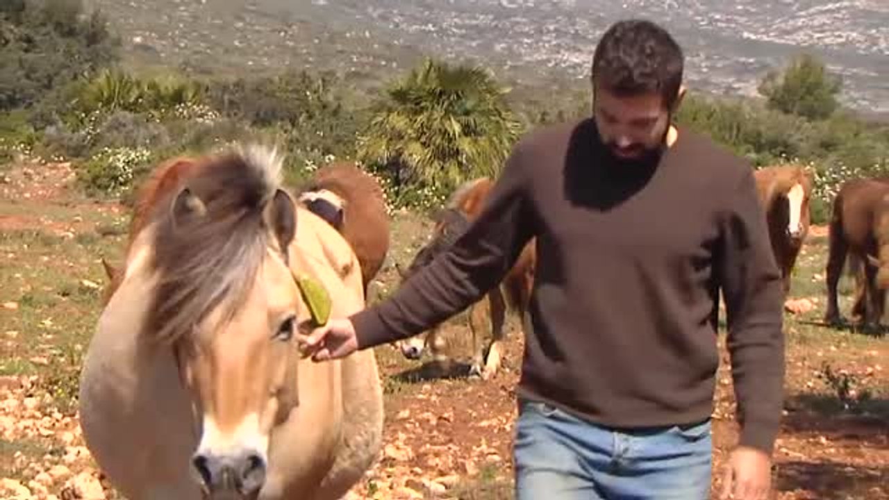 La soledad de los pastores trashumantes en plena cuarentena por coronavirus