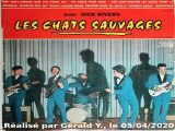 Les Chats Sauvages & Dick Rivers_Sur ma plage (C. Richard_Thinking of our love)(1962)karaoke