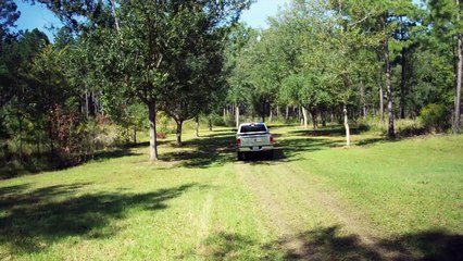 A NUN’S CURSE Trailer (2020) Nun Horror