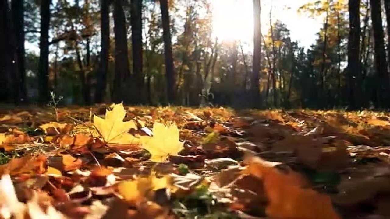 ALLAH_Ke_Mubarak_Naam_Ka_Wazifa(360p)