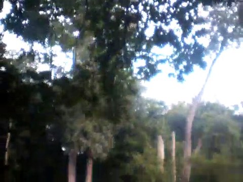 the king of the fairies vocals