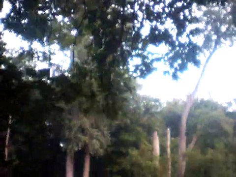 the king of the fairies vocals