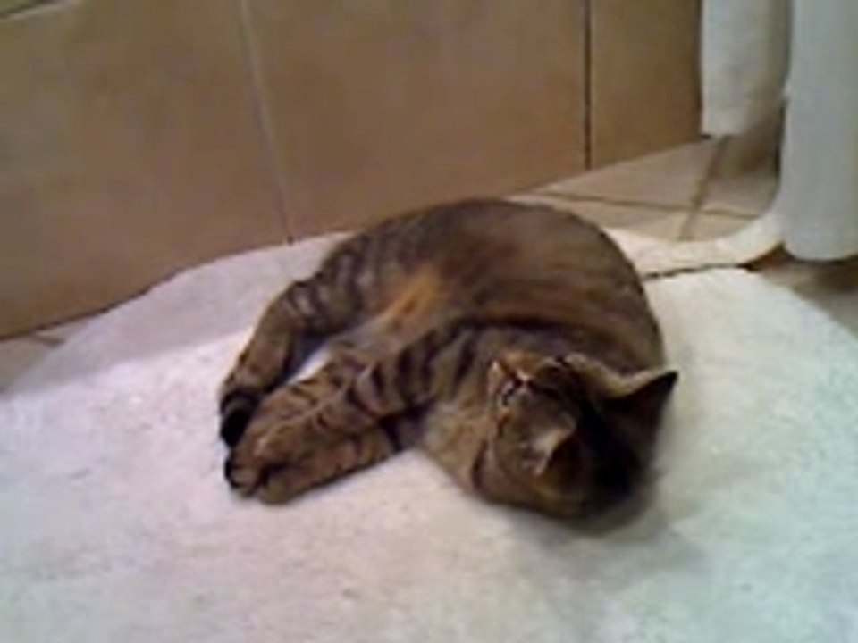 Bianca tranquille dans la salle de bain