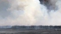 Massive grass fire scorches horizon