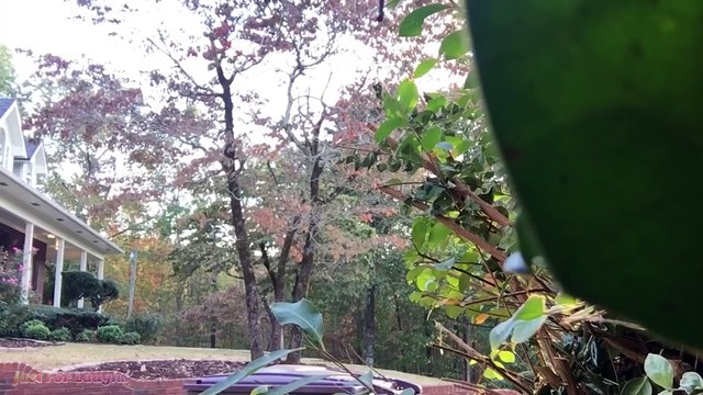 Videos De Risa 2020 nuevos Videos Graciosas - Videos Graciosos - Compilación bromas divertidas #1