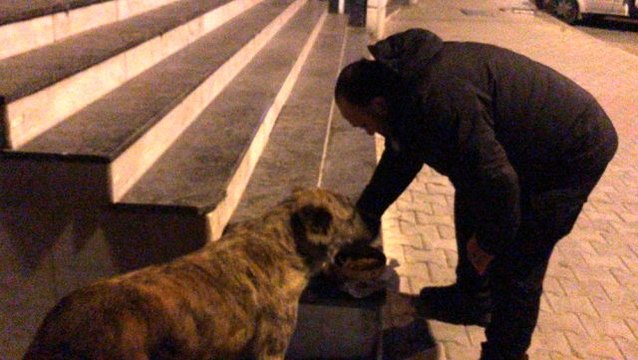 Sokağa çıkma yasağında polis hayvanları unutmadı