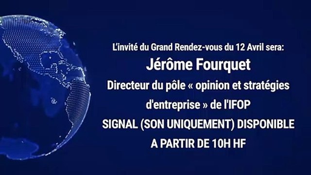 Confinement : à quelles conditions pourra-t-on se déplacer pour adopter un animal ?