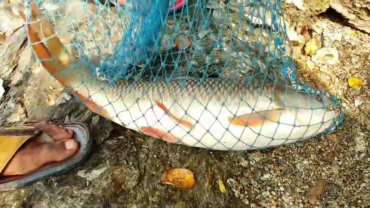 big Fish hunting
