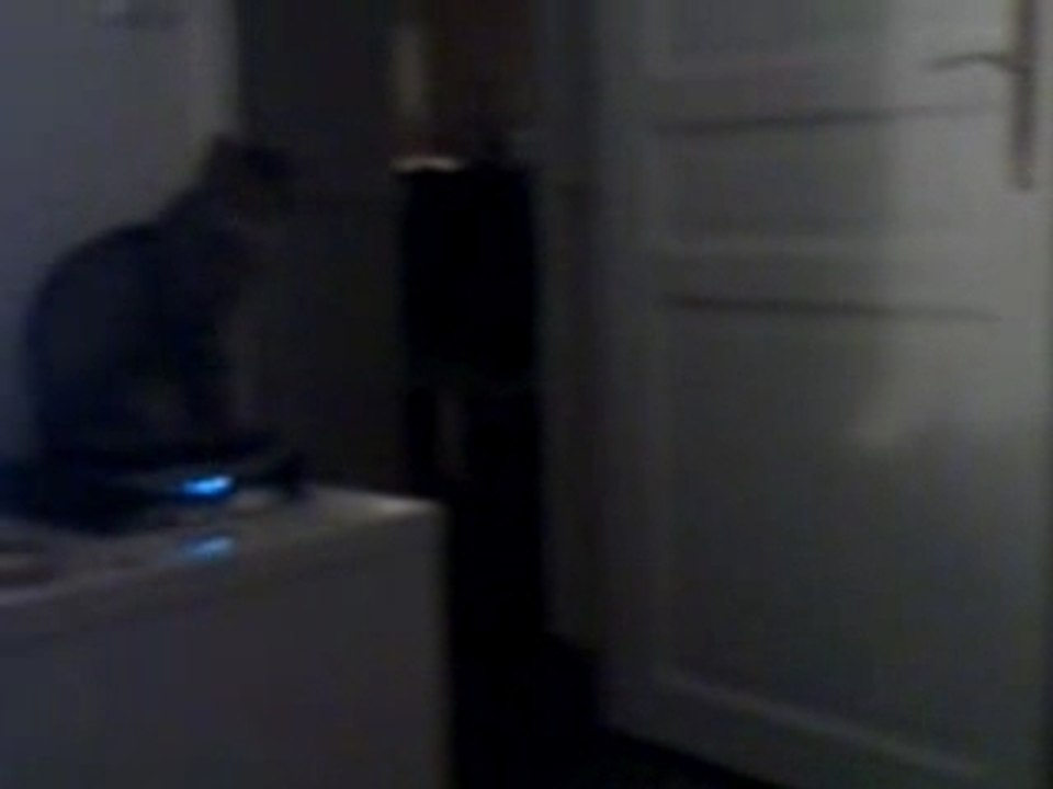 Nalah et Gribouille qui fight