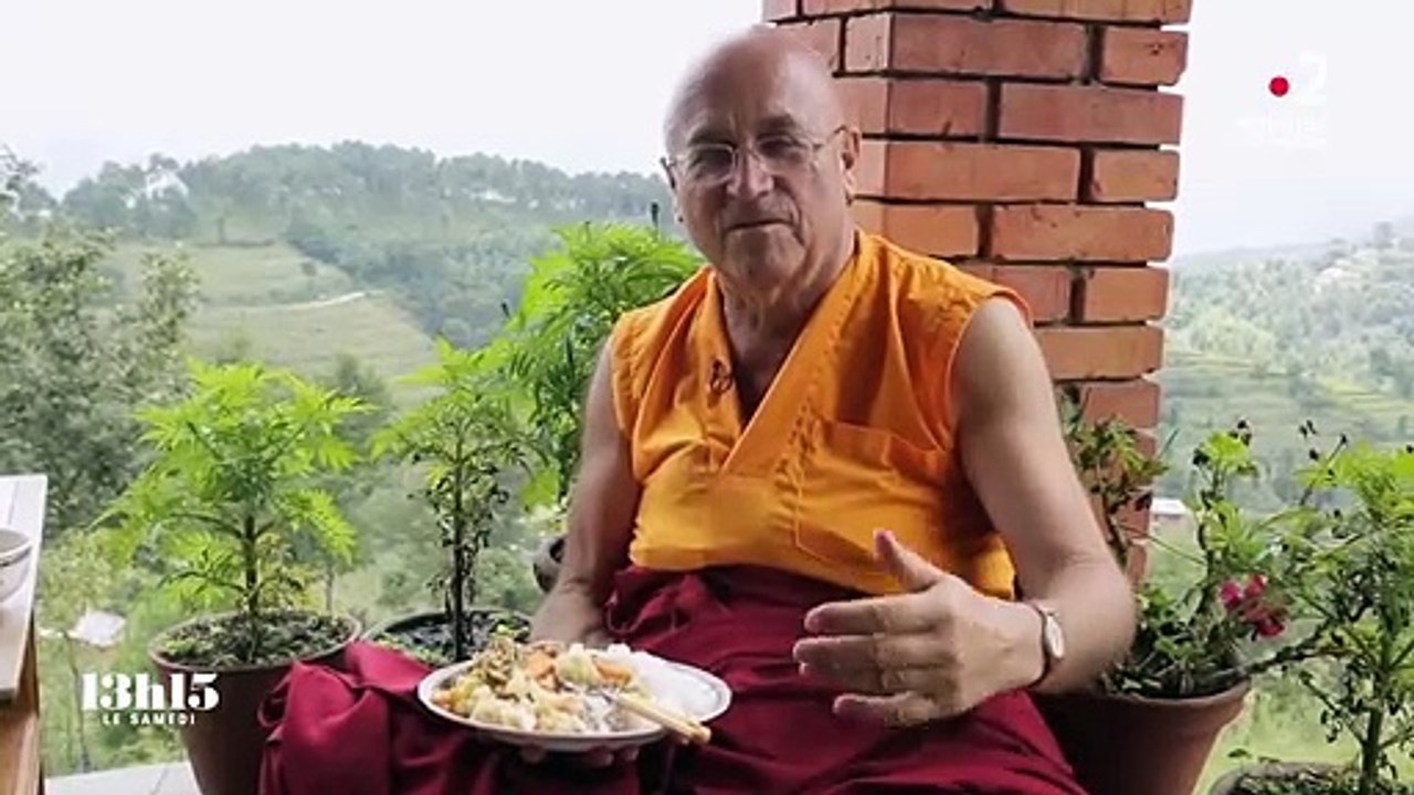 "Il n'y a pas un seul copain" dans l'assiette végétarienne du moine bouddhiste français Matthieu Ricard