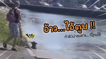 อ้าวไอ้ตูบ !!! เห็นท่าทางน่าสงสาร ขึ้นจากน้ำไม่ได้ แต่ที่ไหนได้....