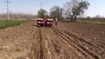 Trakya çiftçisi, koronavirüse rağmen ekmeğini topraktan çıkarıyor