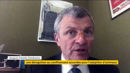 Confinement : une dérogation accordée pour l'adoption d'animaux