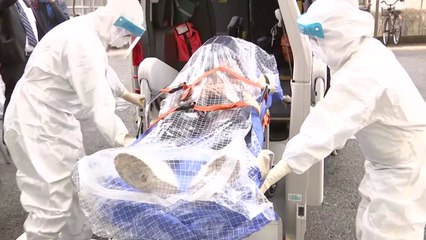 日 환자 나흘째 급증세...응급의료체계 붕괴 조짐 / YTN