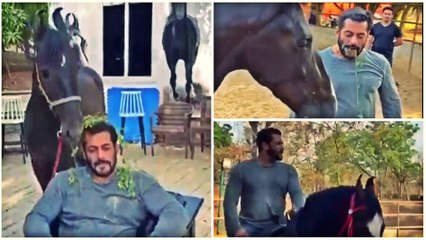 Salman Khan quarantine  | Panvel Farm House | Lock Down Diaries