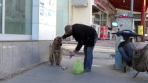 GAZİANTEP Hayvansever aç kalan sokak hayvanlarını besledi