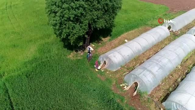 Çiftçiler ve besiciler gıda sıkıntısı yaşanmaması için çalışmaya devam ediyor