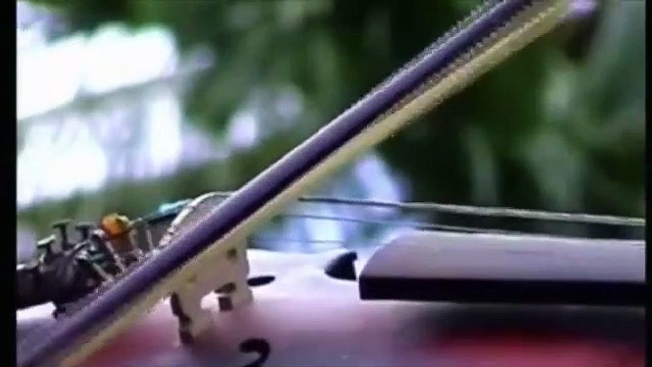 Hum ik duniya