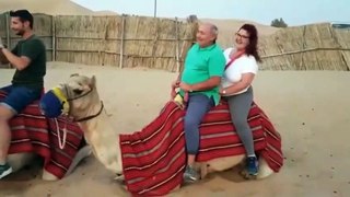 Camel Ride Go Wrong |Camel Unable Bair Load|Dangerous Ride