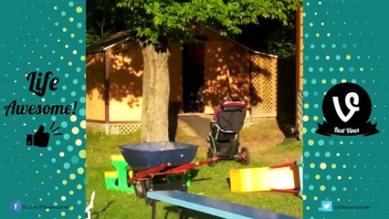 Awesome Vines -Life Awesome- FUNNY VINE FAILS COMPILATION 2020 - Funny Vine