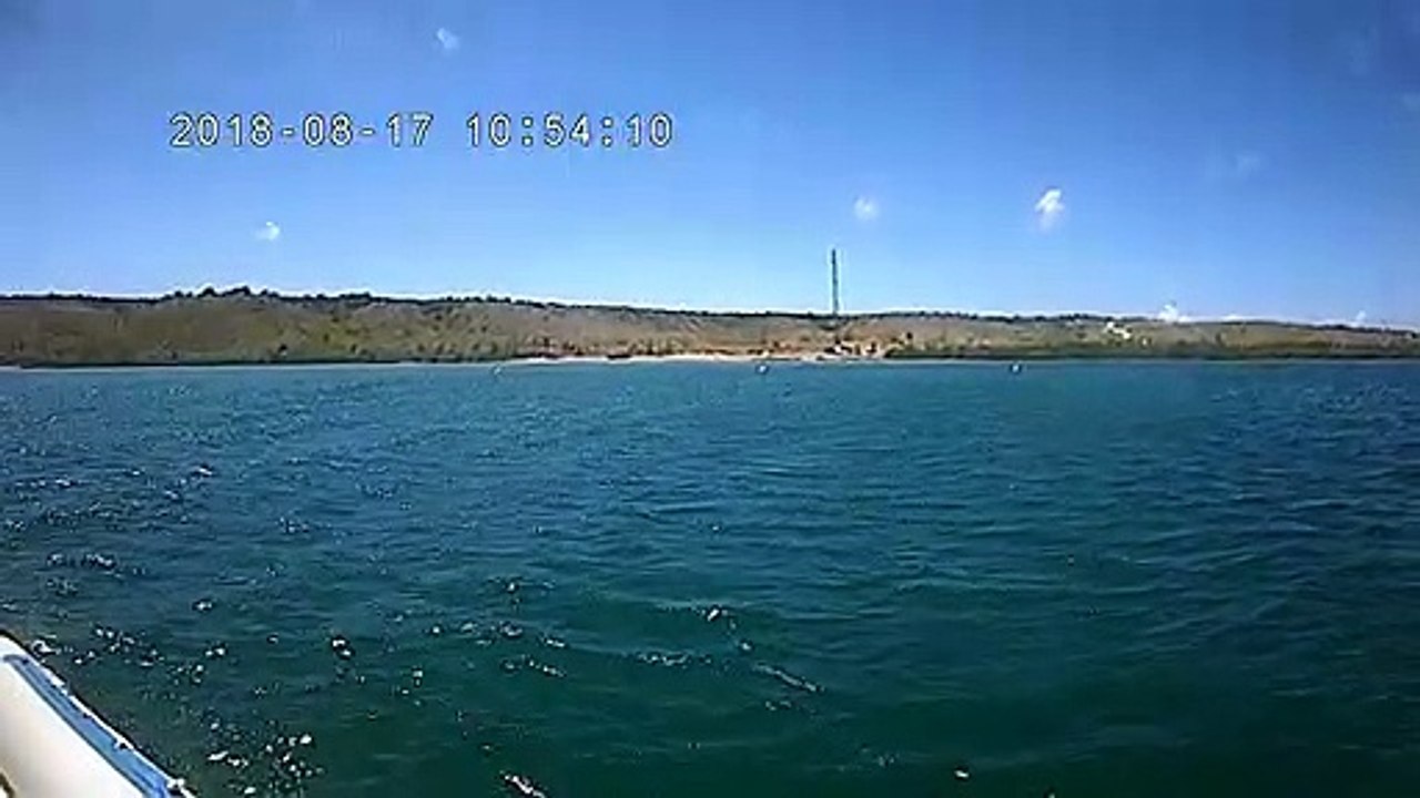 Diving 7