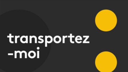 Transportez-moi. Transports et propagation de virus